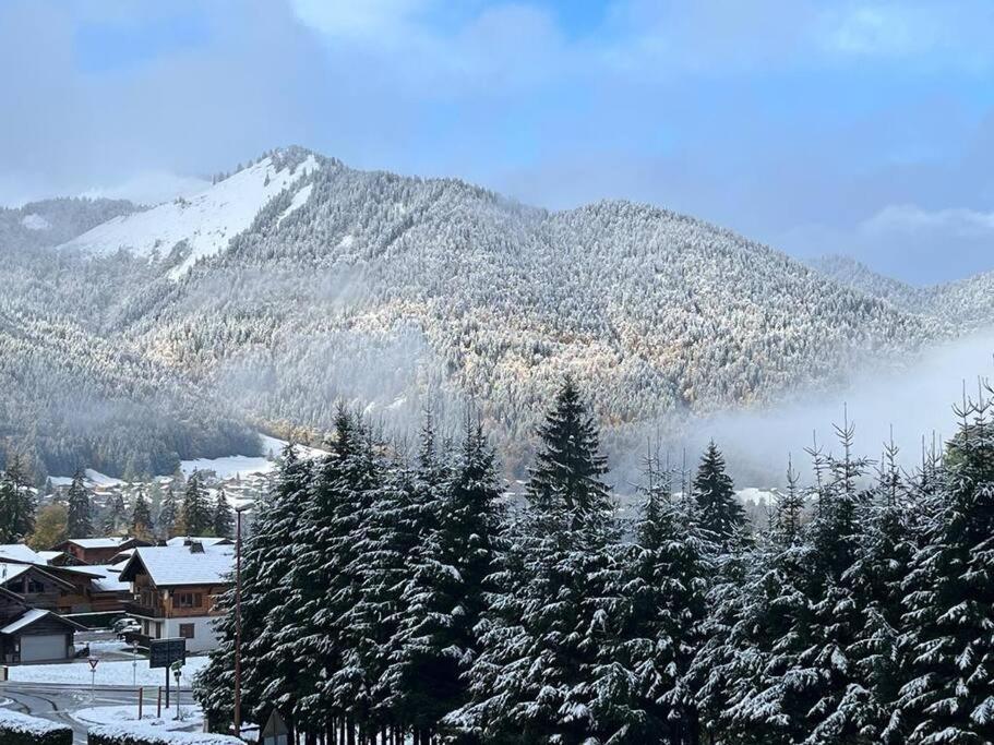Les Chalets De Montriond B101 Exterior photo